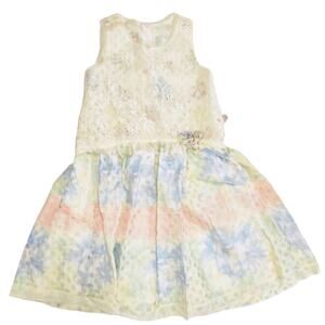 NWT Isobella & Chloe Size 8 Watercolor Petal Lace Dress